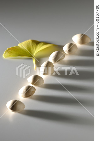 Lined ginkgo 60167780