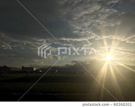 稻田日落 60168201