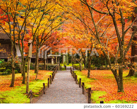 Kyoto Sanzenin Yuen Garden of autumn 60169222