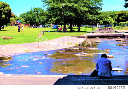 川崎大石公園的一名女子用陽傘讀書 60169255