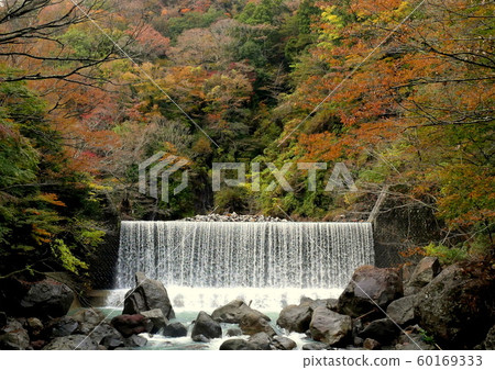 Hayakawa mountain stream with typhoon 19 60169333