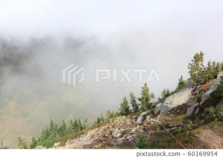 Hillside in a cloud of fog, Mt Rainier,USA Hillside in a cloud of fog, Mt Rainier,USA 60169954