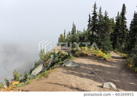Sunrise Trail in the fog of clouds,Mt Rainier,USA Sunrise Trail in the fog of clouds,Mt Rainier,USA 60169955