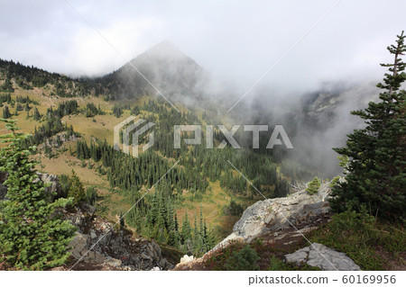 Hillside in a cloud of fog, Mt Rainier,USA Hillside in a cloud of fog, Mt Rainier,USA 60169956