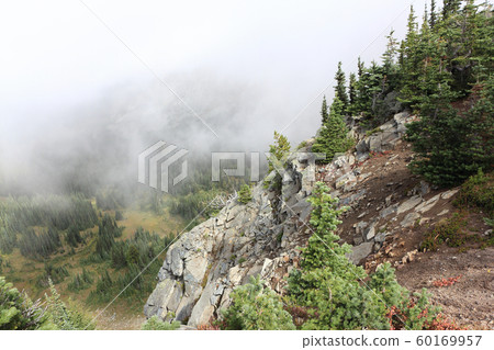 Hillside in a cloud of fog, Mt Rainier,USA Hillside in a cloud of fog, Mt Rainier,USA 60169957