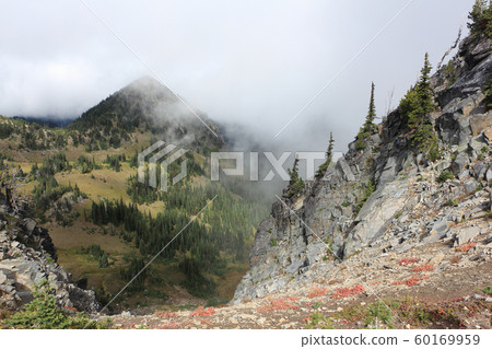 Hillside in a cloud of fog, Mt Rainier,USA Hillside in a cloud of fog, Mt Rainier,USA 60169959