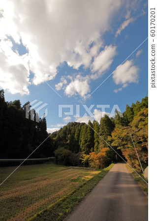 Following road 60170201