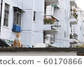 Cats (Photography) 60170866