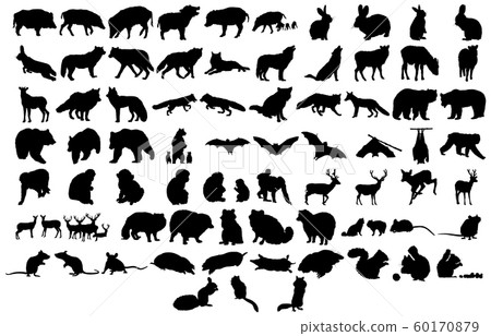 野生動物剪影 野生動物剪影 60170879