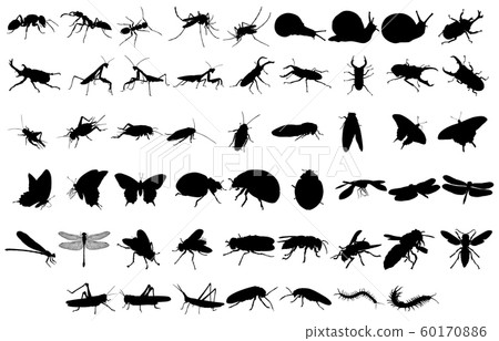 Animal silhouette insect etc. Animal silhouette insect etc. 60170886