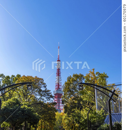 Row of trees in Shiba Park and Tokyo Tower Row of trees in Shiba Park and Tokyo Tower 60170979