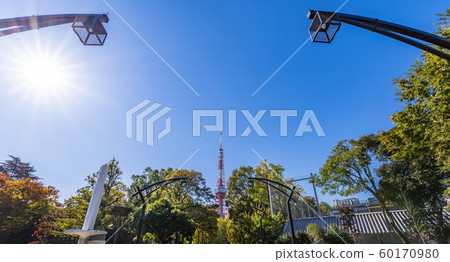 Row of trees in Shiba Park and Tokyo Tower 60170980