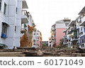 Cats (Photography) 60171049