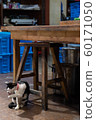 Cats (Photography) 60171050