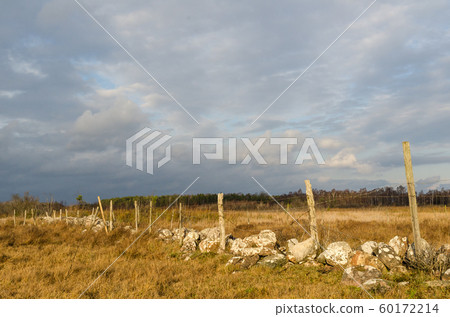 Old fence in a wetland by fall season 60172214