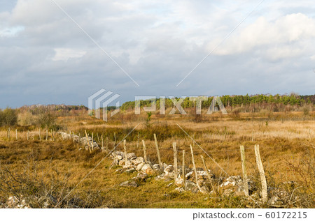 Fall season view of a marshland 60172215