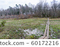 Planks by the walkway through a wetland 60172216