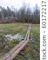 Wooden footbridge through a wetland 60172217