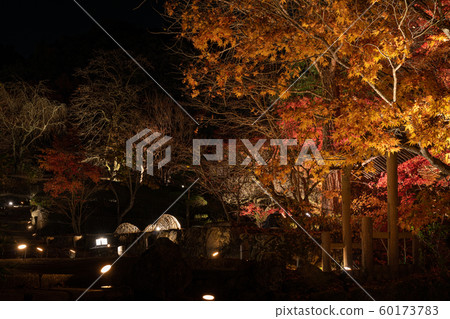 藤生魚天堂先生 60173783