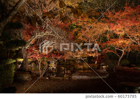 藤生魚天堂先生 60173785