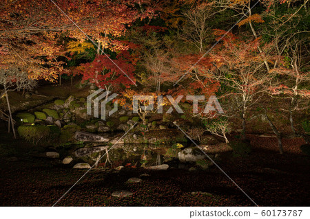 藤生魚天堂先生 60173787