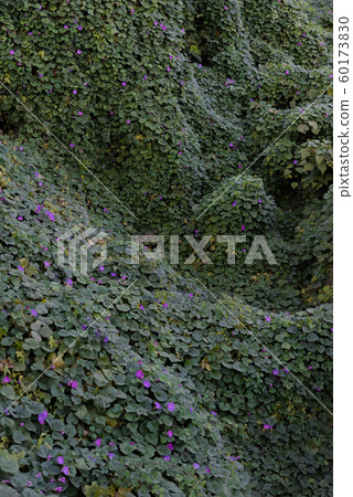 背景材料 背景材料 60173830