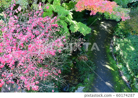 秋天的城市景觀詩Izumikaku 60174287