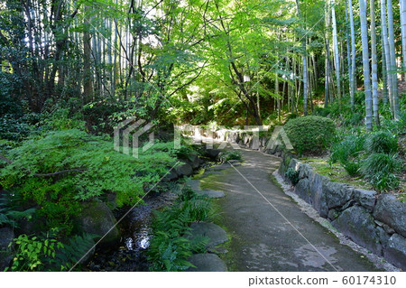 Autumn's Townscape Poetry Izumikaku 60174310