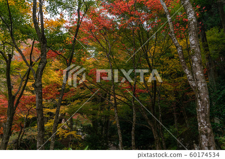 秀彥山大學 秀彥山大學 60174534