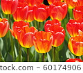 At the Ottawa Tulip Festival_2 60174906