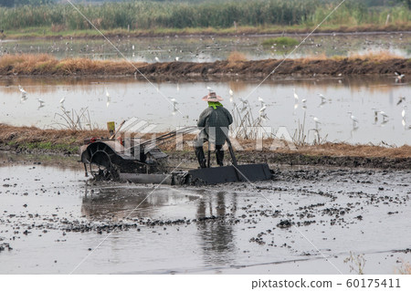 The farmer is plowing the fields with an engine 60175411