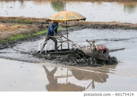 The farmer is plowing the fields with an engine 60175414
