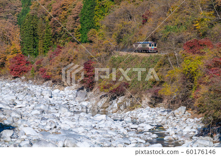 The autumn leaves of the Watasage Valley Railroad 60176146