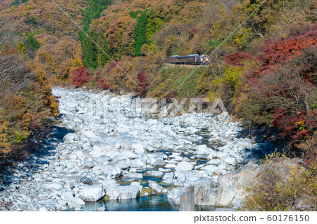 The autumn leaves of the Watasage Valley Railroad The autumn leaves of the Watasage Valley Railroad 60176150