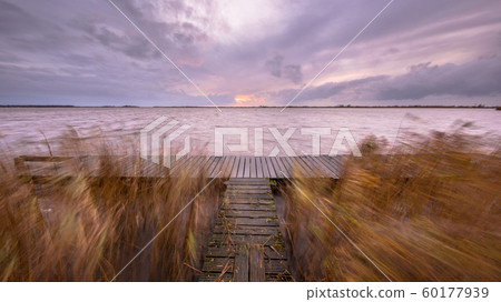 Pier with waving reeds 60177939