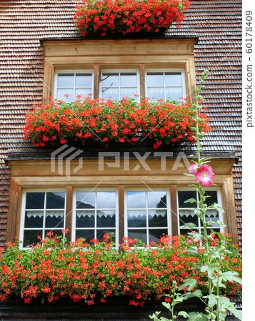 瑞士的老式私人住宅，窗前有美麗的花朵 60178409