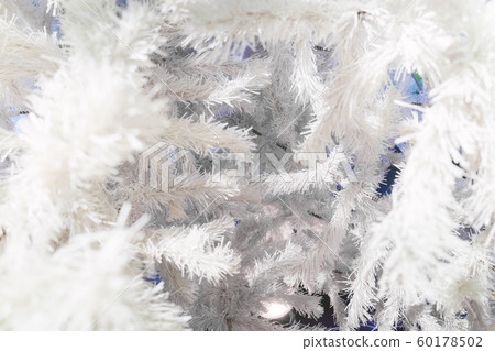 White Christmas tree texture background 60178502