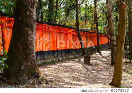 京都伏見稻荷大社千本鳥居 京都伏見稻荷大社千本鳥居 60178527