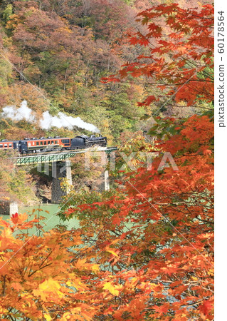 Banetsu西線“山上秋色中的SL” 60178564