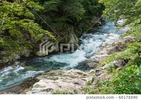 Nara Shiobara City, Tochigi Prefecture Shiobara Onsen Yodogawa (August) 60178890