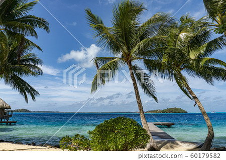 bora bora polynesia paradise beach bora bora polynesia paradise beach 60179582