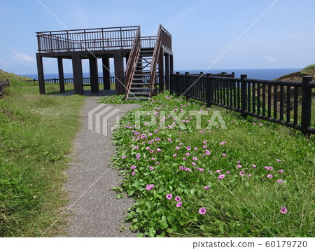 與那國島 與那國島 60179720