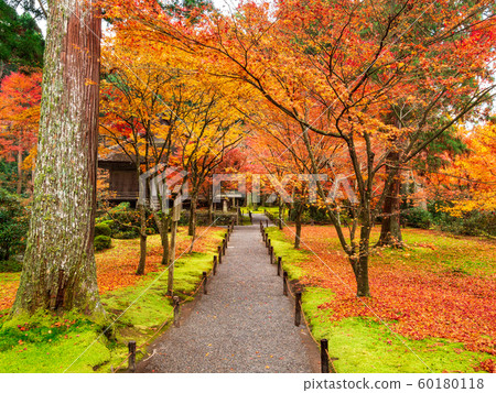 Autumn Kyoto Sanzen-inn Saigo Paradise and Yuseien Autumn Kyoto Sanzen-inn Saigo Paradise and Yuseien 60180118