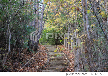Forest of contact, Komaki City, Aichi Prefecture Forest of contact, Komaki City, Aichi Prefecture 60181535