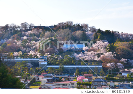 Sakurakei Nihonmatsu Castle 60181589