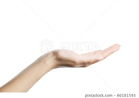 womans hand isolated on white background. Palm up womans hand isolated on white background. Palm up 60181593