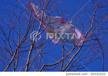風箏被困在樹枝上 風箏被困在樹枝上 60181620