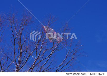 風箏被困在樹枝上 風箏被困在樹枝上 60181621