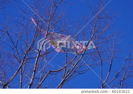 風箏被困在樹枝上 風箏被困在樹枝上 60181622
