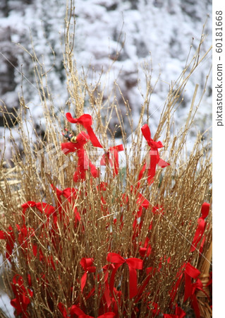 St.Nicholas traditional switches 60181668